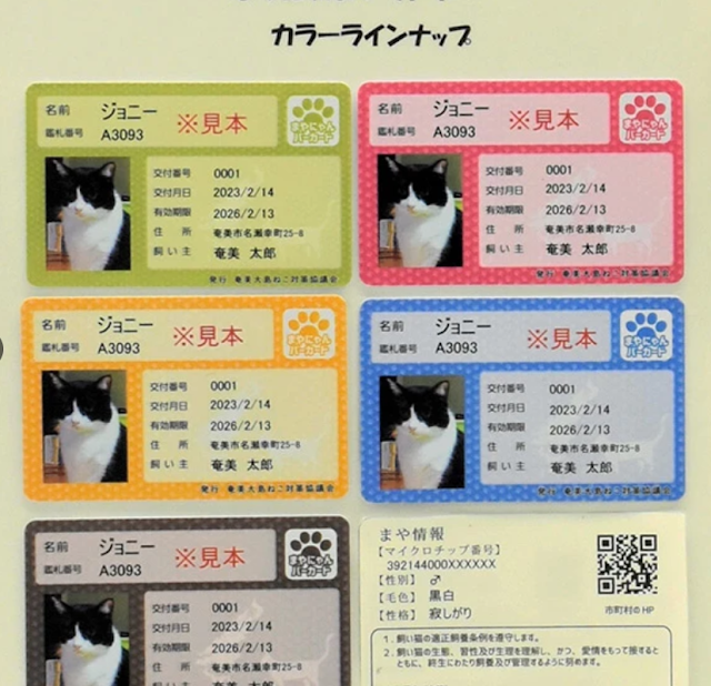 ID cards for cats on Amami Islands