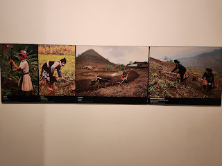 Museum display of women farming