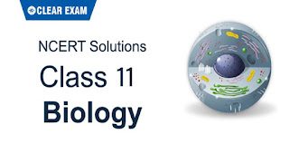 NCERT Solutions Class 11 Biology