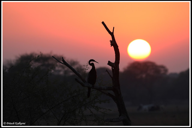 Sunset at Bharatpur