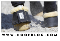 Hoof Blog