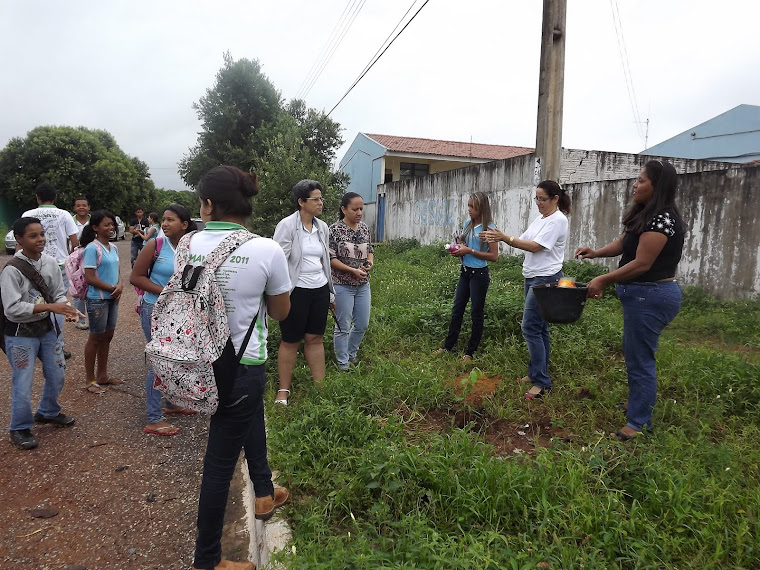 Projeto plante árvores
