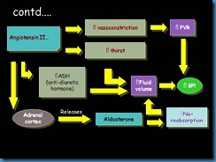 Slide11