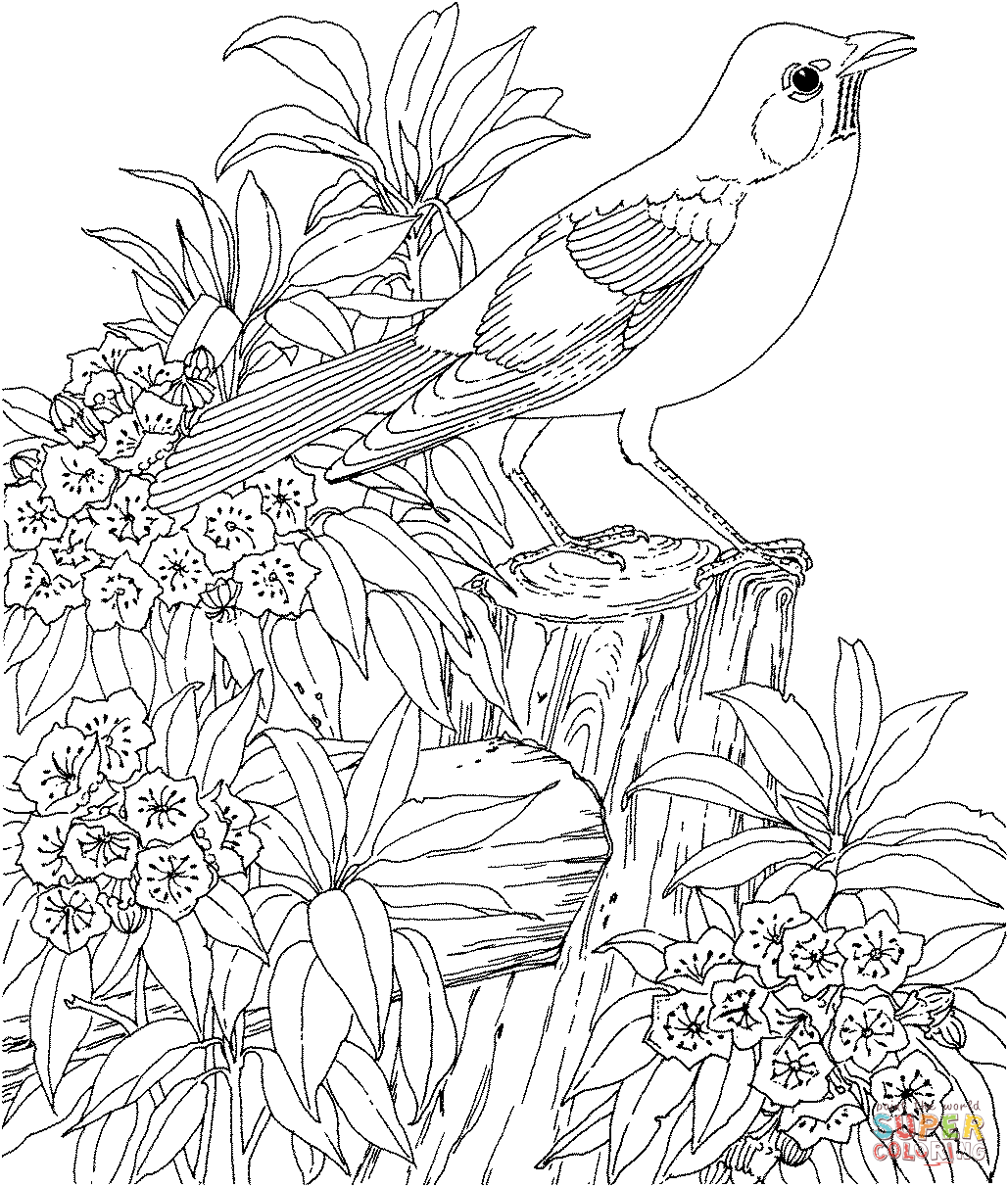 Coloring Pages For Teenagers Difficult Mermaid Printable Coloring Pages For Teenagers Difficult Mermaid Free Coloring Pages For Teenagers Difficult