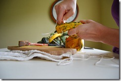 houzz widening hole in gourd amy renea a nest for all seasons