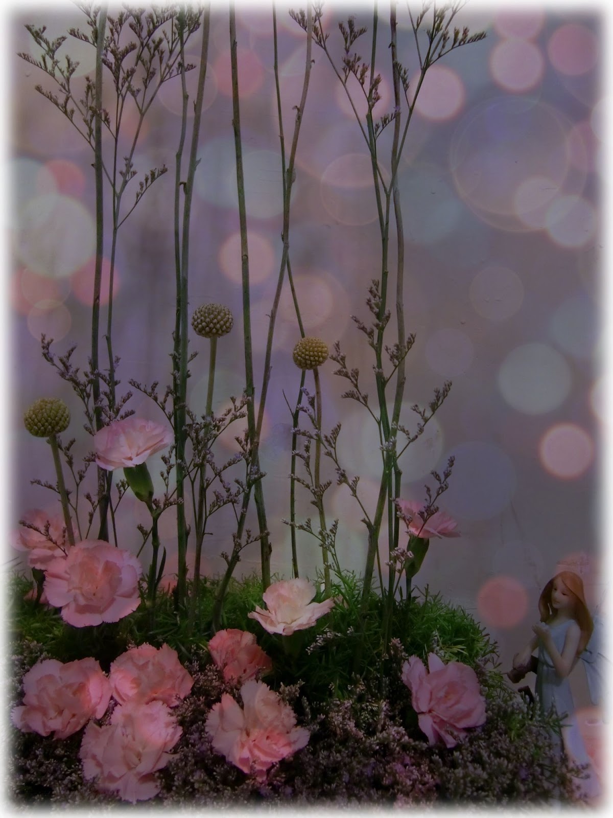 花語 每月的誕生花 一月誕生花 康乃馨carnation 二