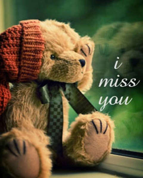 Cute I miss you teddy bear image