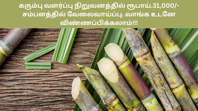 Sugarcane Breeding Institute, Coimbatore Recruitment 2022
