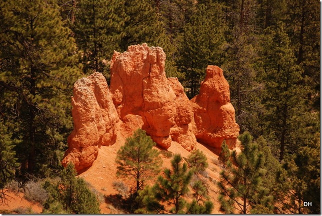 05-21-13 F Bryce near North CG Overlook (4)