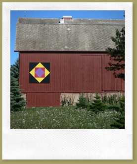 7 Mile road Square-in-a-Square