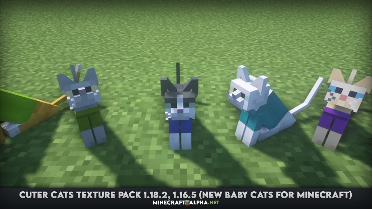 Cuter Cats Texture Pack 1.18.2, 1.16.5 (New Baby Cats & Outfits for Minecraft)