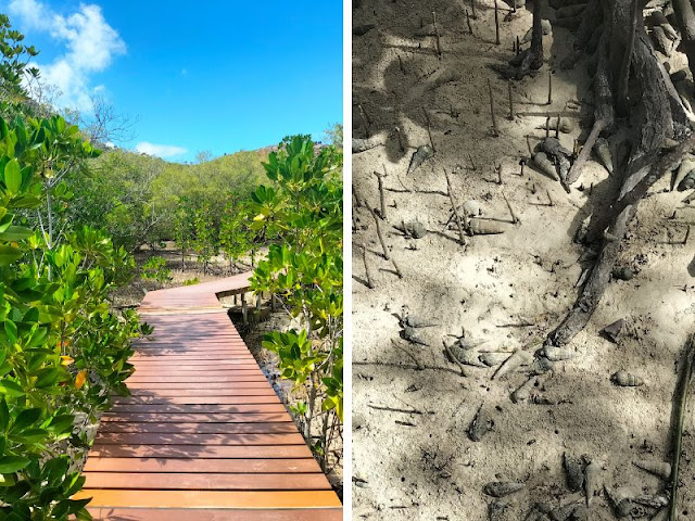 passerella sentiero curieuse seychelles