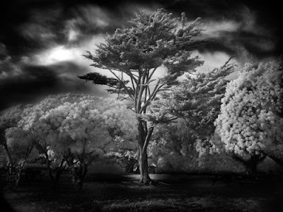 Black And White Photography