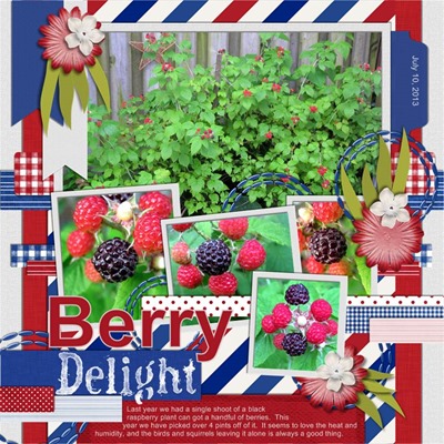Romajo - Dutch Delight - Berry Delight