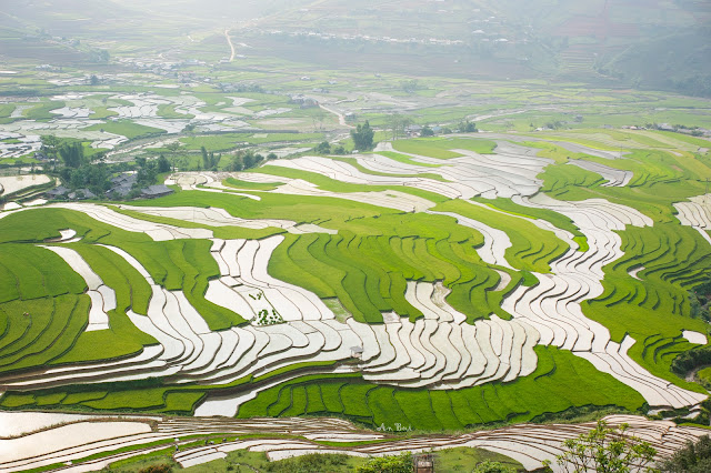 Best Vietnam Photo Trip For Rice Terrace Photography