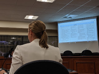 Sara Ahern, Superintendent of Schools - presenting at a recent School Committee meeting