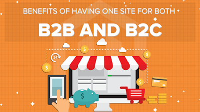 https://www.magepoint.com/our-blog/benefits-of-having-one-site-for-both-b2b-and-b2c/