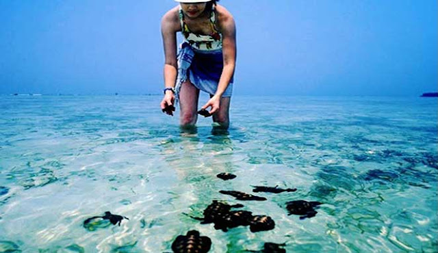 TAMAN LAUT INDAH DI LEPAS PANTAI JAKARTA