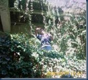 clip_image006