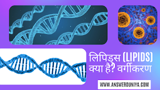 Lipids - Types, Structure, Classification in Hindi