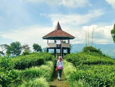 Gunung Nini Nikmati momen berharga bersama keluarga di Pangalengan, tempat wisata yang menggoda dengan pemandangan alam yang memesona dan berbagai aktivitas yang cocok untuk semua anggota keluarga