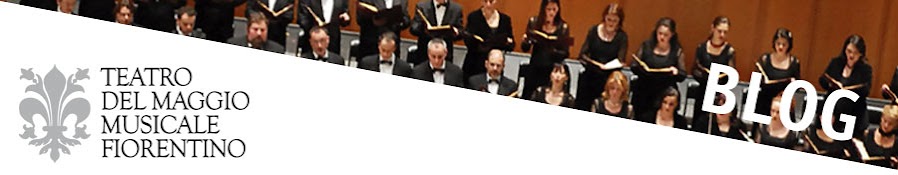 Maggioblog