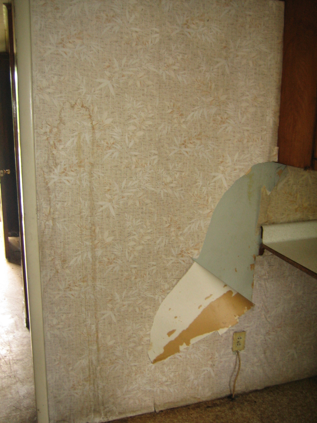 it and there was mildewed wallpaper peeling off the walls