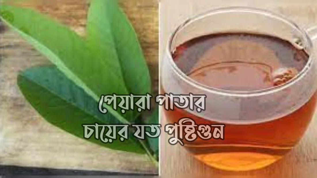 পেয়ারা-পাতার-চায়ের-যত-পুষ্টিগুন