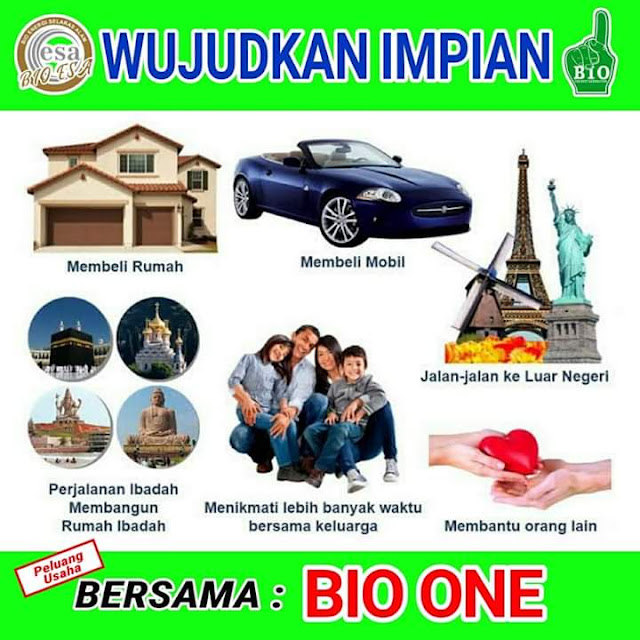 Bisnis online bioesa