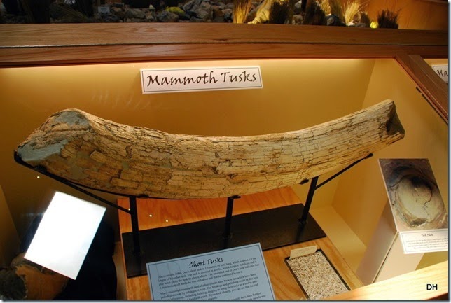 07-08-14 B Tate Geological Museum (17)