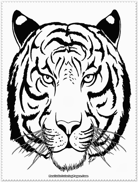 Realistic Tiger Coloring Pages Realistic Coloring Pages Throughout Tiger  Coloring Page