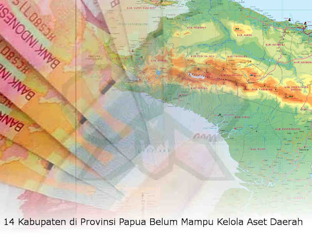 14 Kabupaten di Provinsi Papua Belum Mampu Kelola Aset Daerah