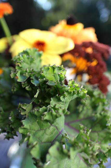 The Impatient Gardener -- The Garden Appreciation Society