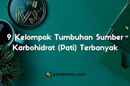 9 Kelompok Tumbuhan Sumber Karbohidrat (Pati) Terbanyak