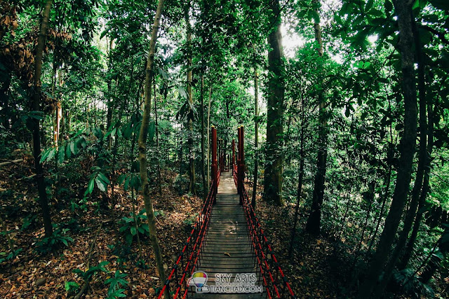 Hanging bridge in Bukit Nanas that leads to KL Tower