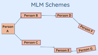 MLM Programs