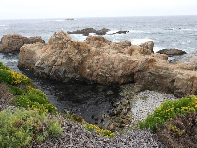 Day 13 - Pacific Coast Highway