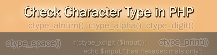 Check character type in PHP