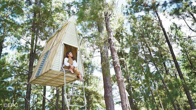 Staying in a treehouse at Masungi Georeserve