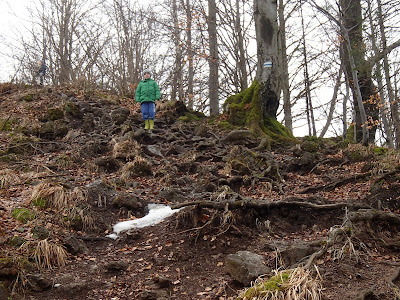 Szczawnica, szlaki turystyczne w Szczawnicy, schronisko pod Durbaszką, rezerwat Wysokie Skałki, Bukowinki, wąwóz Homole, grzyby wiosenne