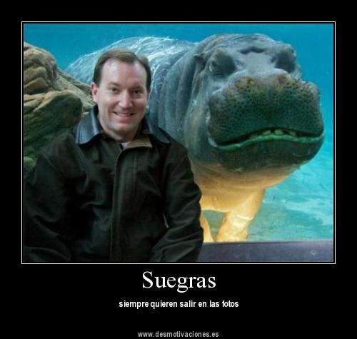 desmotivaciones de suegras (10)