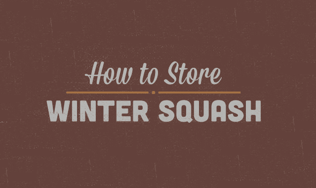 Image: How To Store Winter Squash