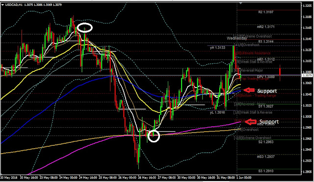 Daily Analysis USDCAD June 01, 2016