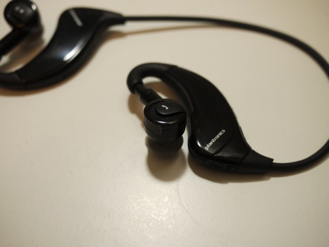 appleguard-25.JPG appleguard-25.JPG