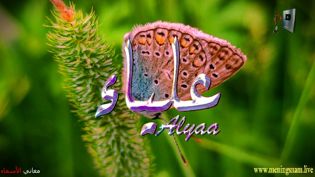 معنى اسم, علياء, وصفات, حاملة, هذا الاسم, Alyaa,