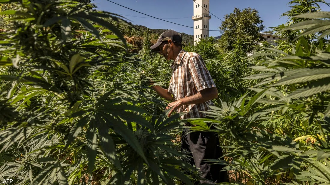 المغرب
