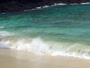 Beach the Paddock (Blue Lagoon)