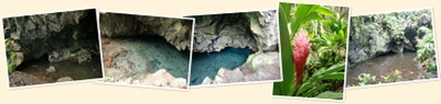 View Fresh water pool at Wai'anapanapa