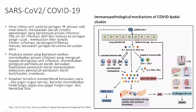 Covid-19