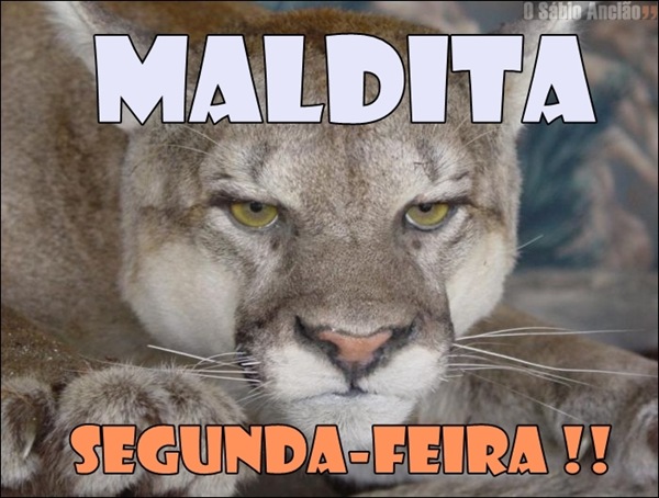 segunda que pariu